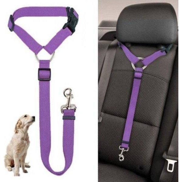 חגורת בטיחות לחיות מחמד | ג'סטה שופ | Jesta Shop