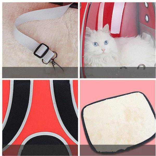 תיק שקוף לנשיאת חיית מחמד | ג'סטה שופ | Jesta Shop