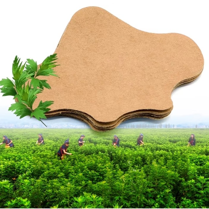 חבילת 12 מדבקות לשיכוך כאבי שרירים | ג'סטה שופ | Jesta Shop