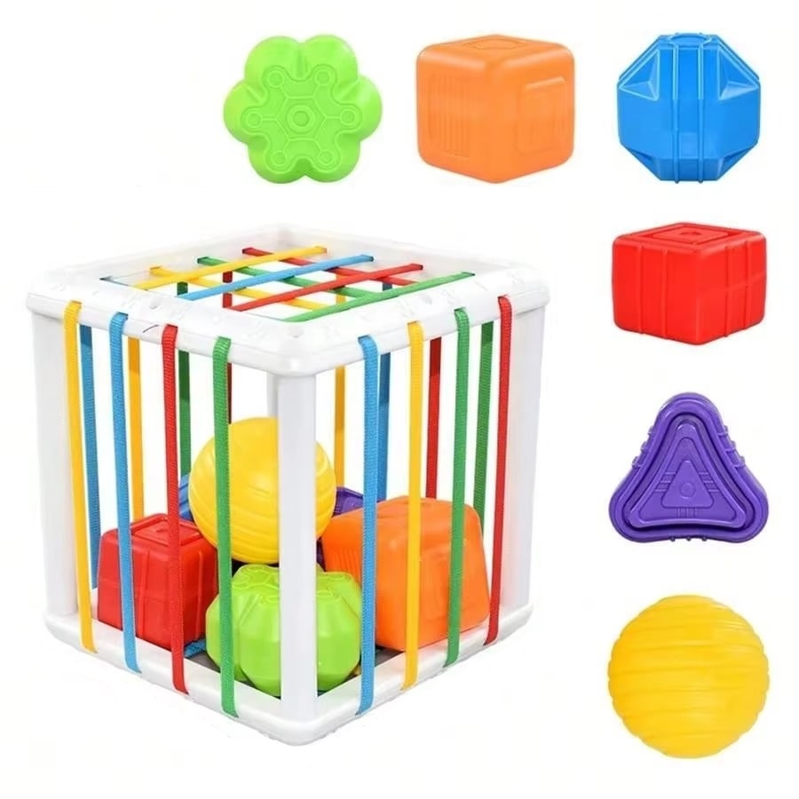 משחק תיבת חבלים מיון צורות | ג'סטה שופ | Jesta Shop
