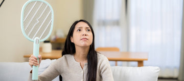 מה עדיף - קוטל יתושים, מלכודת או רשת? מדריך לבחירה נכונה | ג'סטה שופ | Jesta Shop