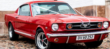 שריטות, מכות פח או ריפוד מוכתם? המדריך המלא לחידוש הרכב ב-5 דקות עבודה | ג'סטה שופ | Jesta Shop