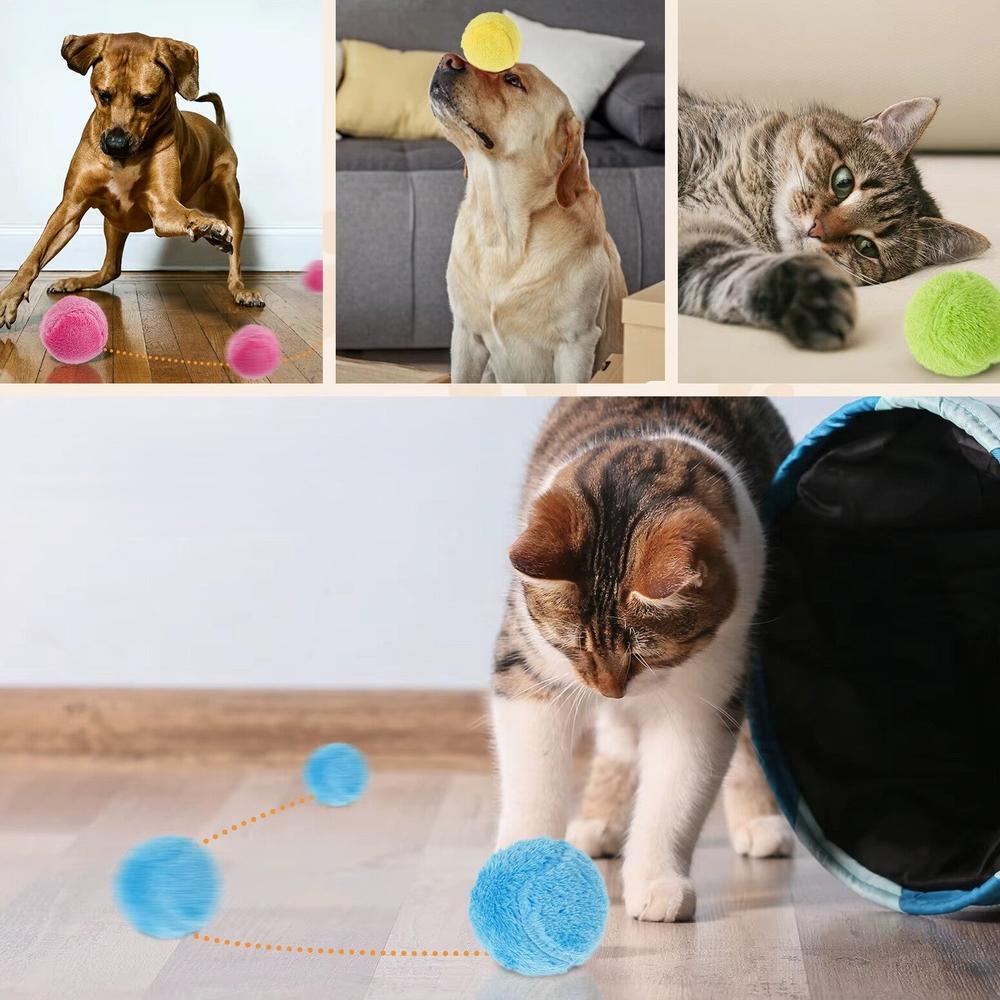 כדור הקסם אינטראקטיבי מתגלגל אוטומטית לחיות מחמד | ג'סטה שופ | Jesta Shop