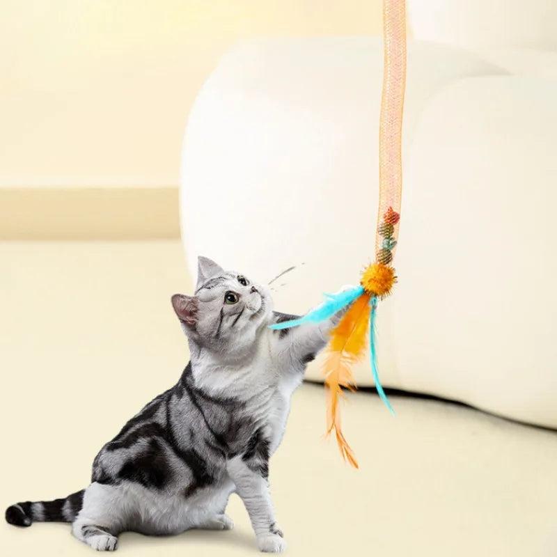 3 יחידות צעצוע אינטראקטיבי קפיץ אלסטי לחתולים | ג'סטה שופ | Jesta Shop