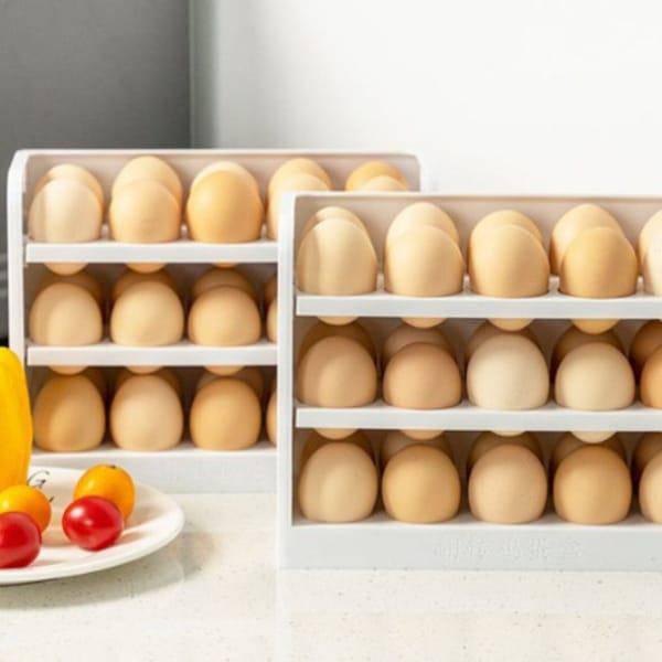 תבנית לאחסון ולשמירה על ביצים | ג'סטה שופ | JestaShop