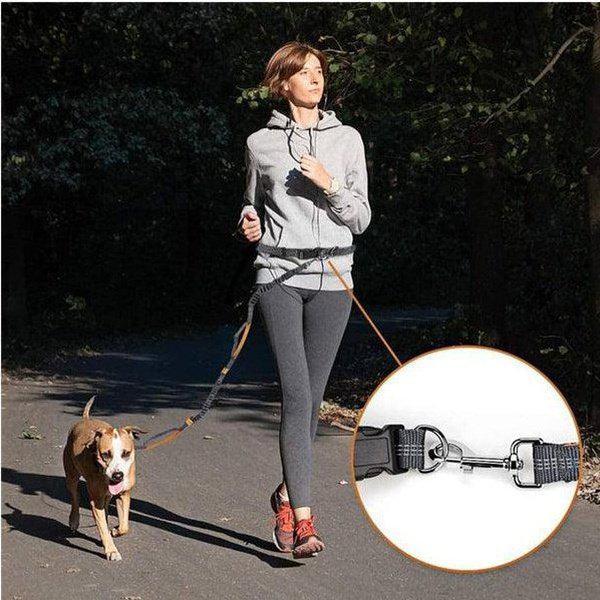 רצועת ריצה עם חגורת מותניים לכלבים | ג'סטה שופ | JestaShop