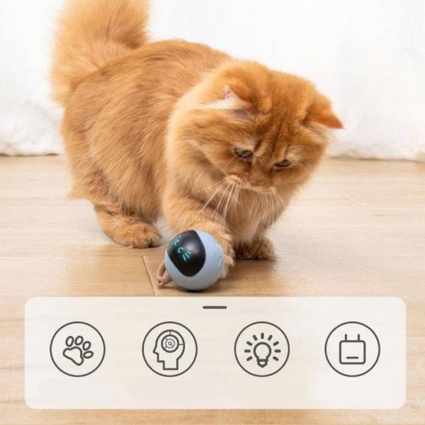 משחק כדור חשמלי אוטומטי לחתול | ג'סטה שופ | JestaShop
