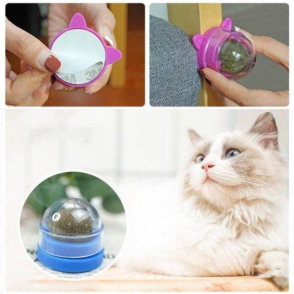 כדור ליקוק פינוק לחתול חטיף לקקן לחתול | ג'סטה שופ | JestaShop