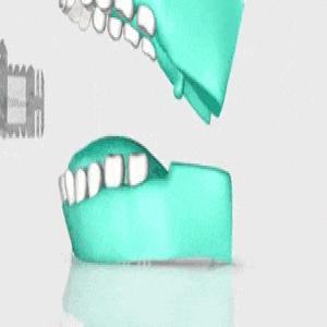 מברשת שיניים אוטומטית חשמלית 360° מעלות לבוגרים